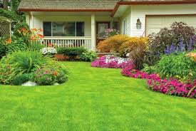 Garden & Outdoor
