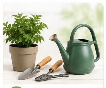 Garden & Outdoor