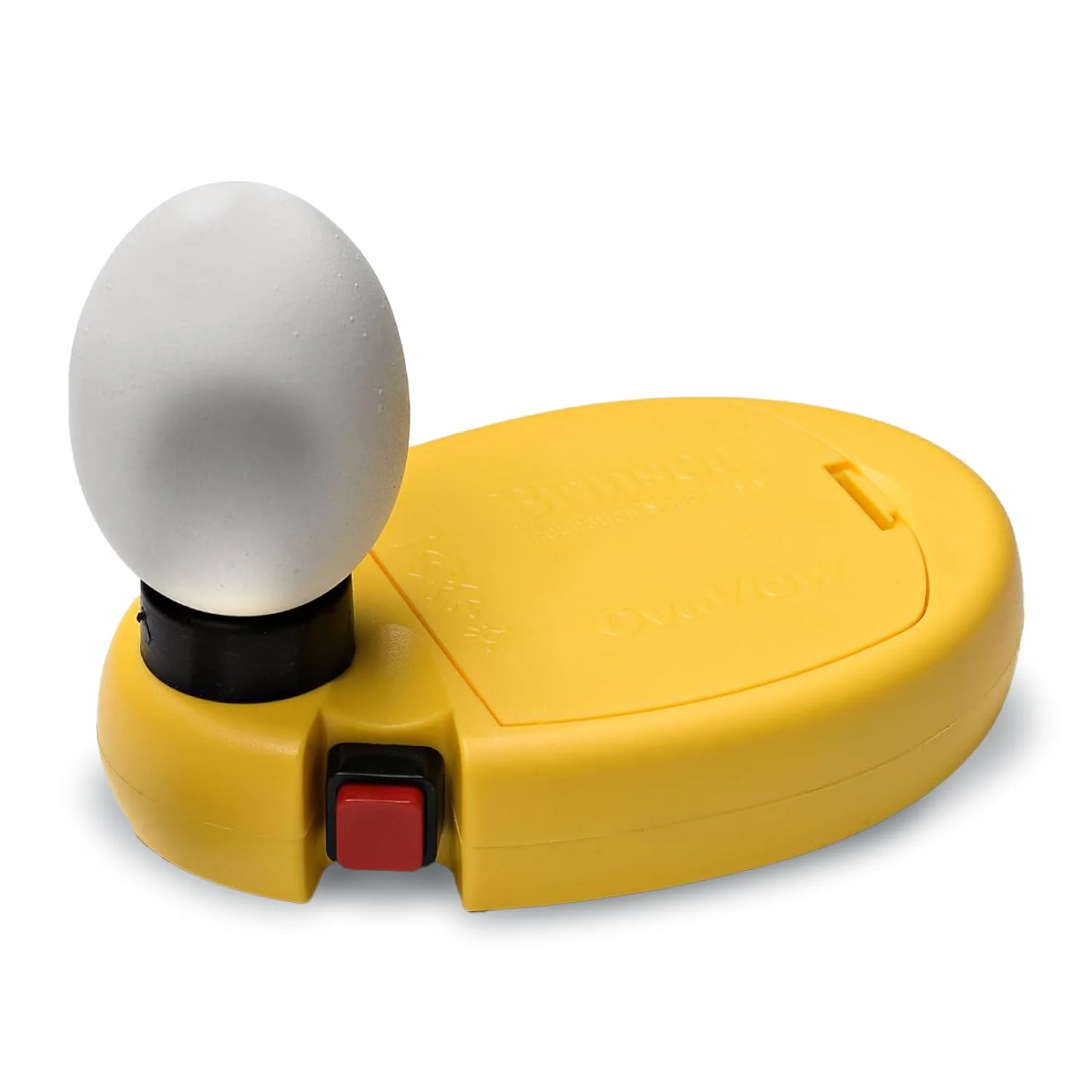 Brinsea Candling Lamp – Egg Incubator Inspection Light for Monitoring Embryo Development