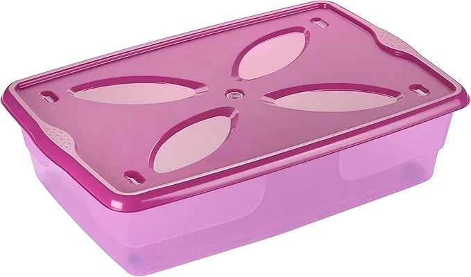 Bama Box  Storage Organizer with Flip Top Lid
