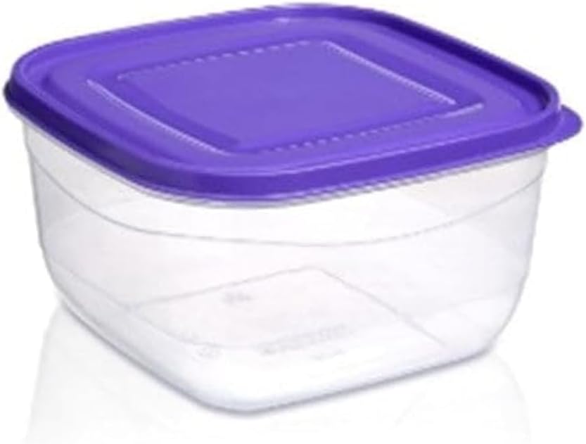 Ucsan Square Fridge Storage Container