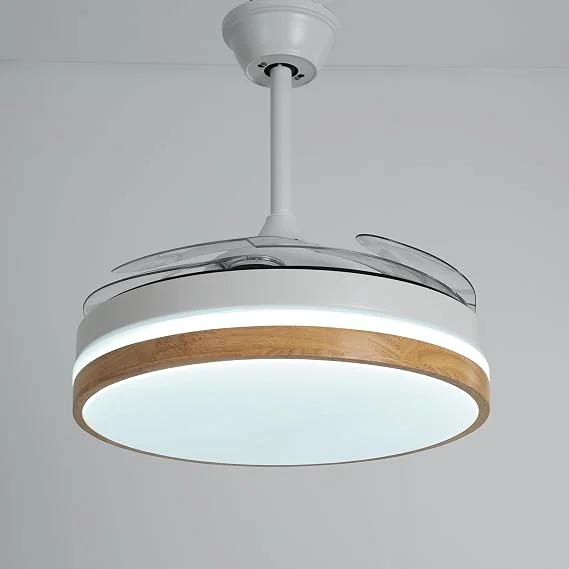 Enarat Mika 40-Inch Ceiling Fan with Hidden Blades