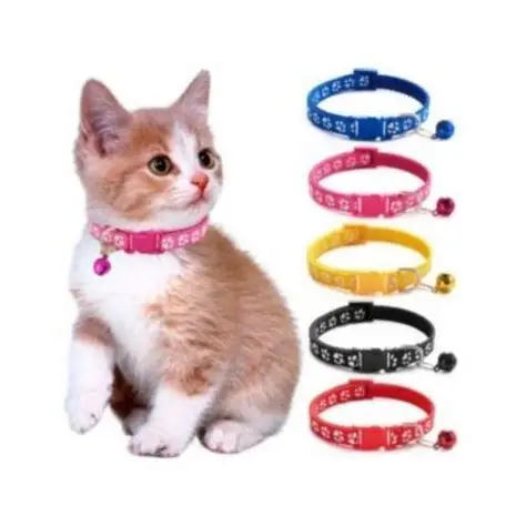 Golden Panda Cat Collar
