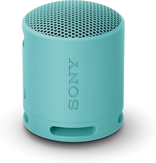 Sony SRS-XB100 Portable Bluetooth Speaker